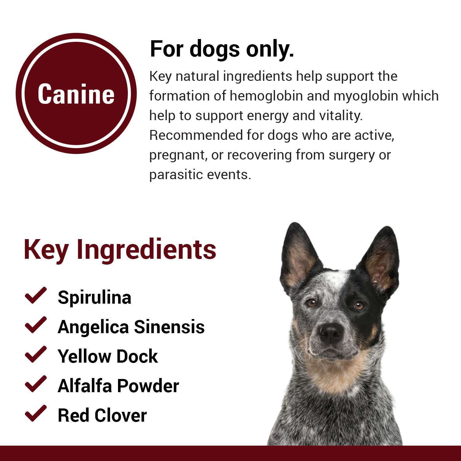 Vet Classics Comprimés à mâcher – format pratique pour l’utilisation quotidienne du chien.