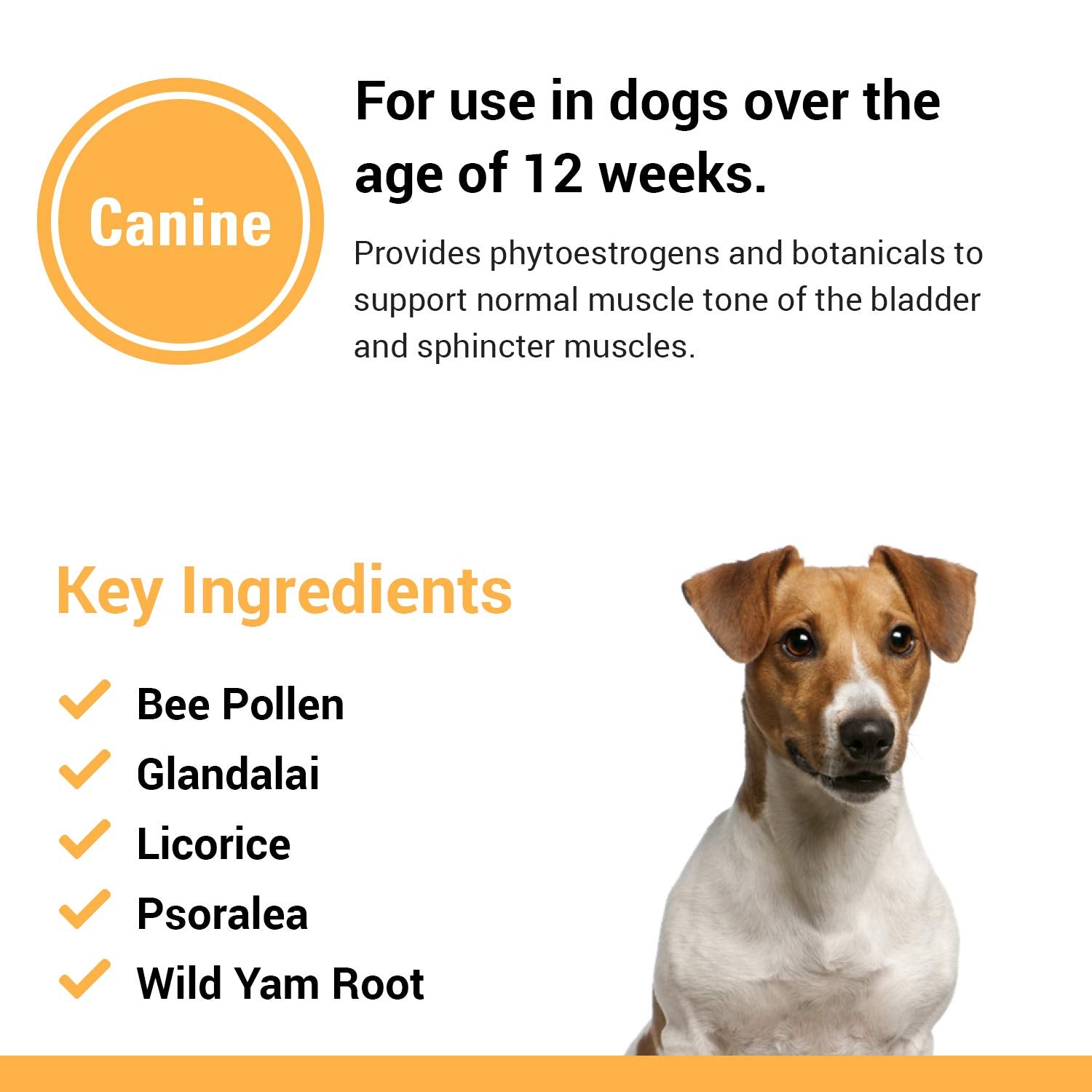 Vet Classics formule vétérinaire – complément conçu pour le soutien vessie canin.