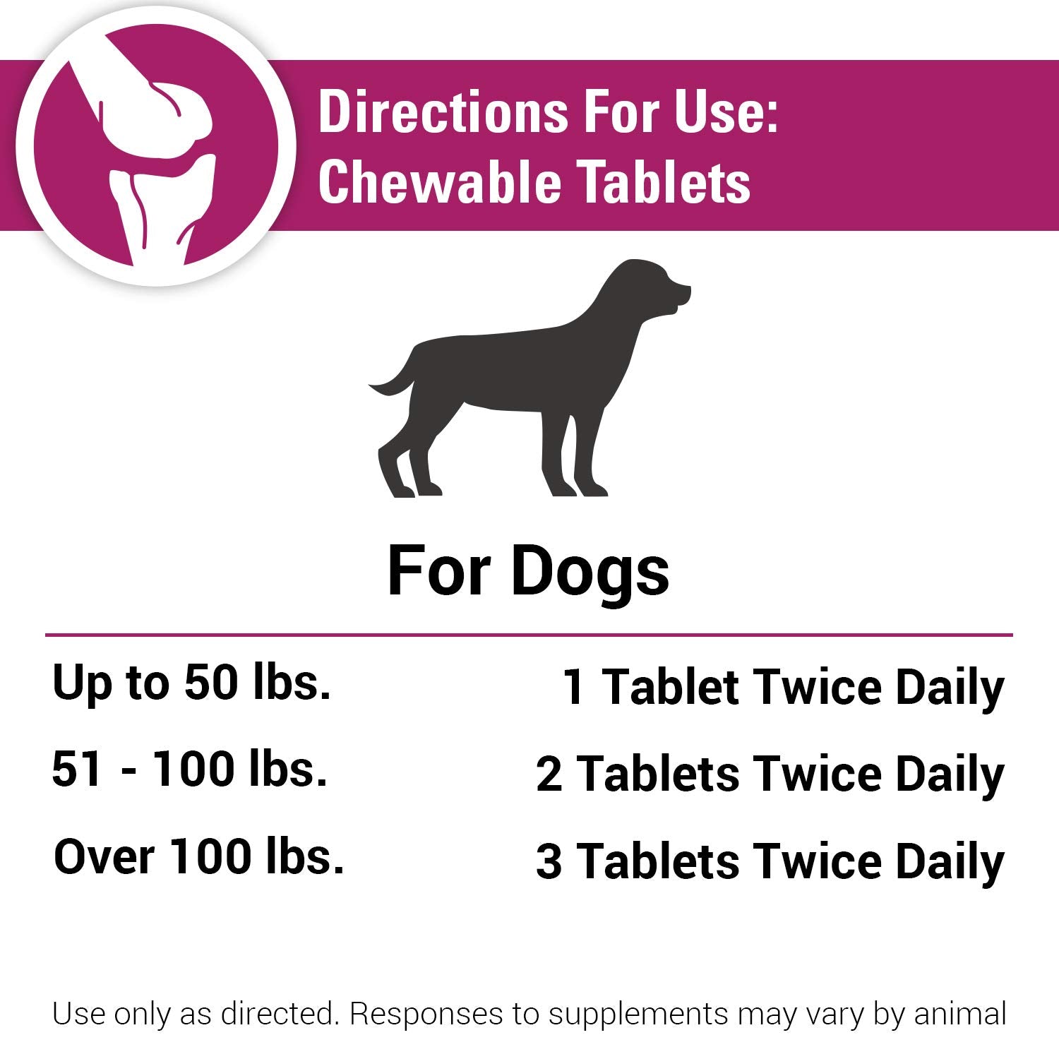 Chien heureux après administration des tablettes Pain Plus Vet Classics.
