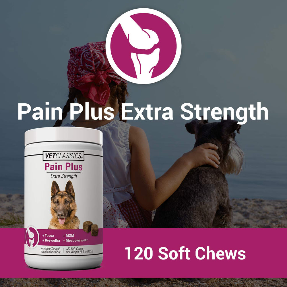 Gomme-douleur-chien Vet Classics Pain Plus: soutien possible pour l'activité quotidienne de votre chien.