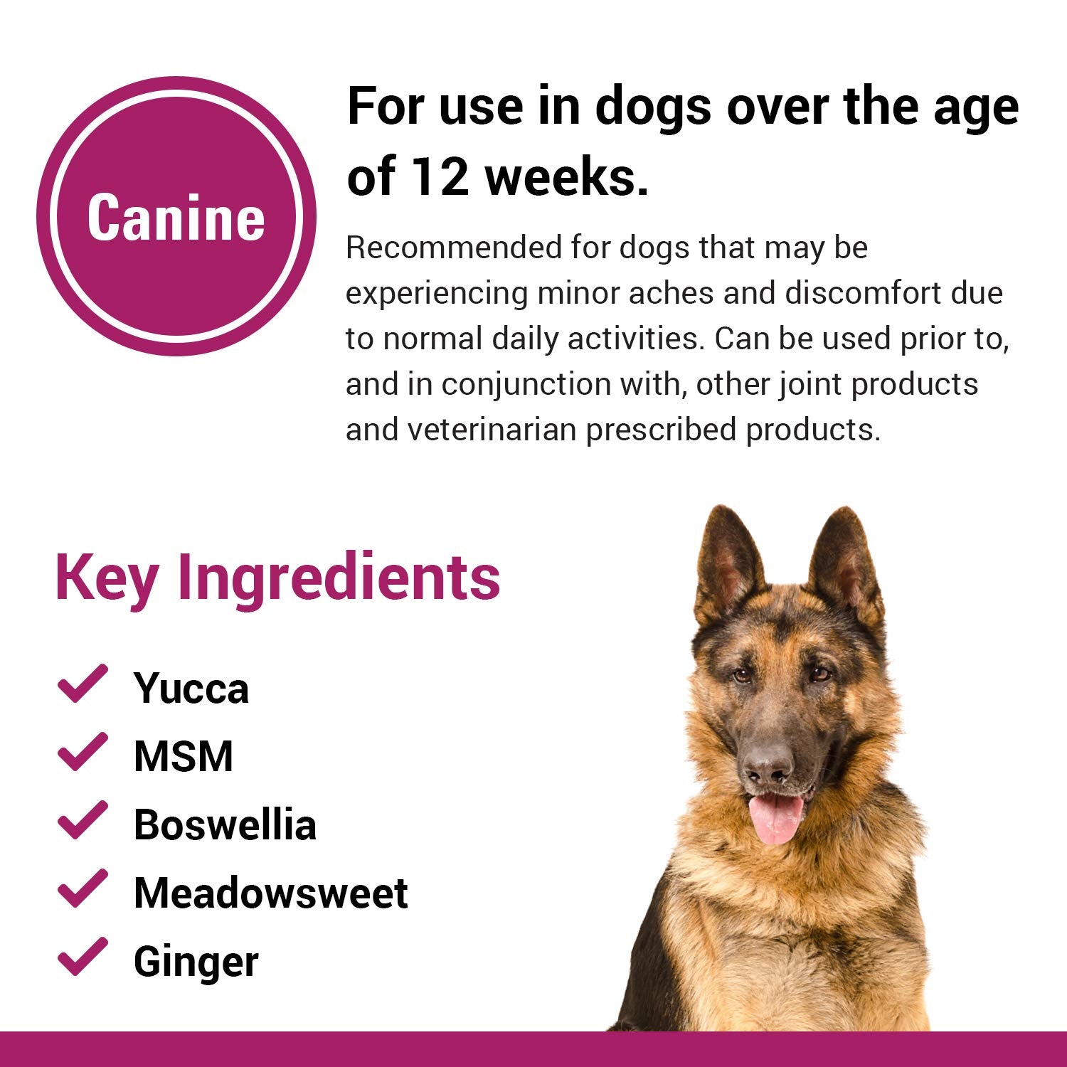 Ingrédients yucca boswellia msm meadowsweet: base naturelle du Pain Plus Vet Classics.