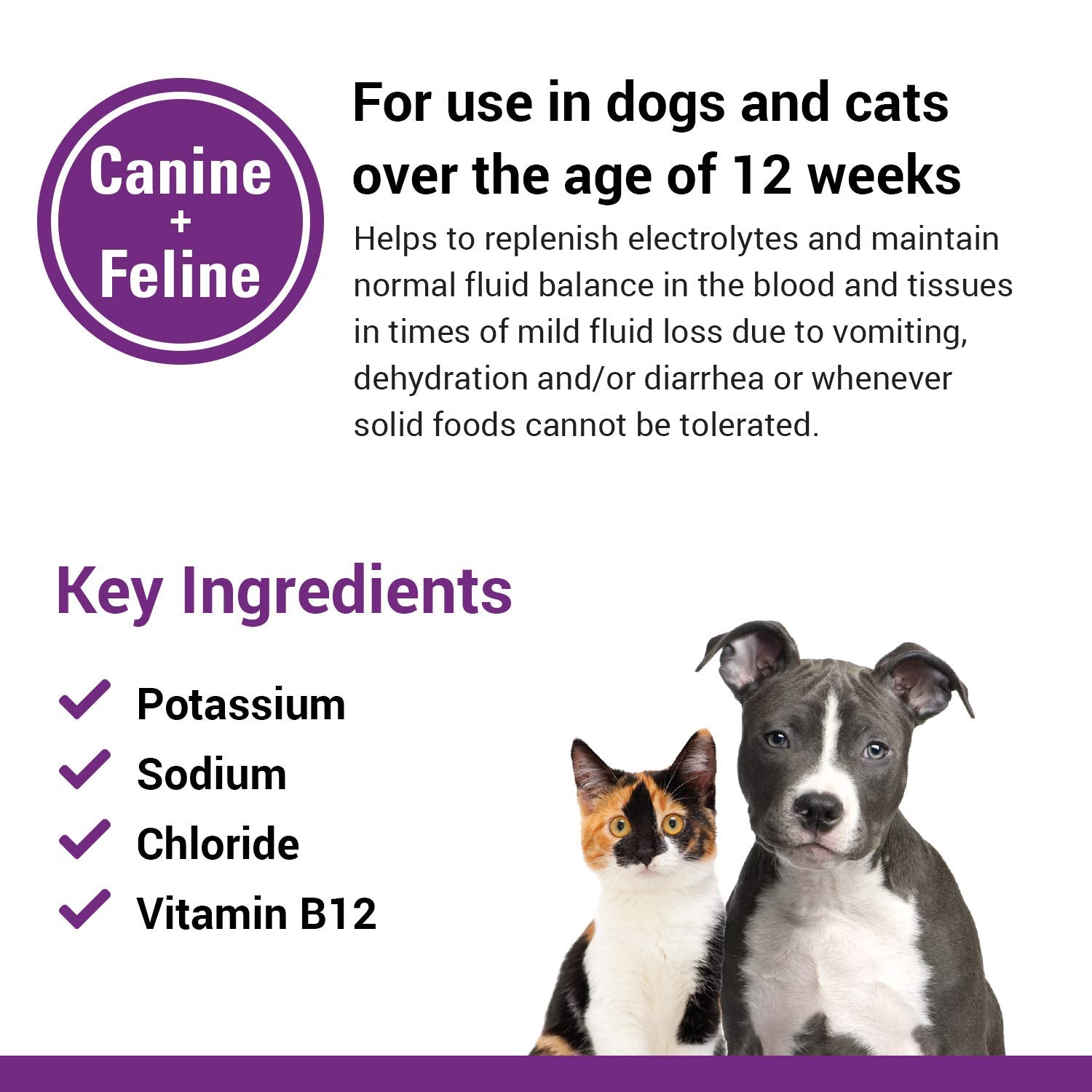 Vet Classics Pet-A-Lyte: usage-chiens-chats, soutien hydrique après épisodes gastro‑intestinal mineurs.