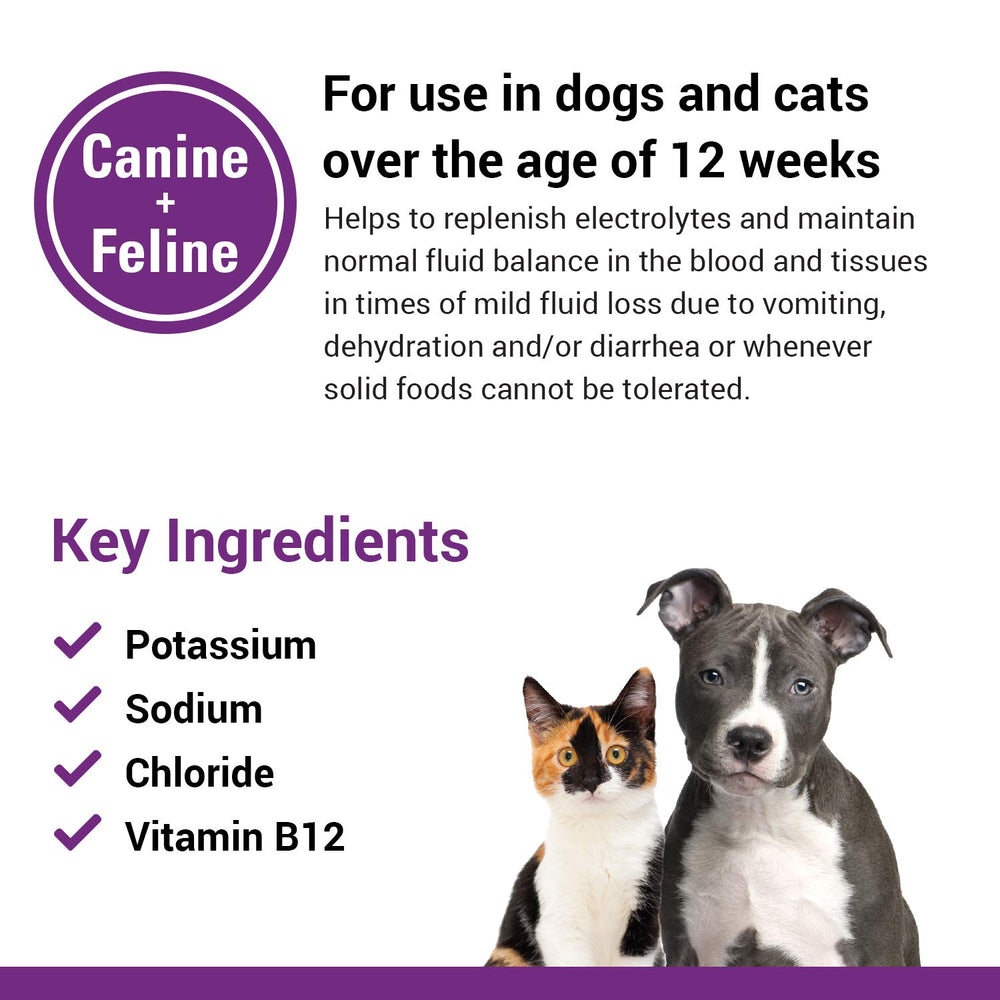 Vet Classics Pet-A-Lyte: usage-chiens-chats, soutien hydrique après épisodes gastro‑intestinal mineurs.
