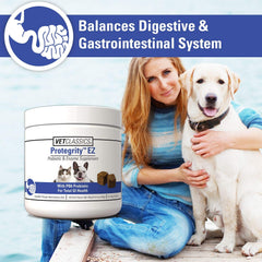 Vet Classics Protegrity EZ Probiotiques, bouchées pour chat, équilibre intestinal.