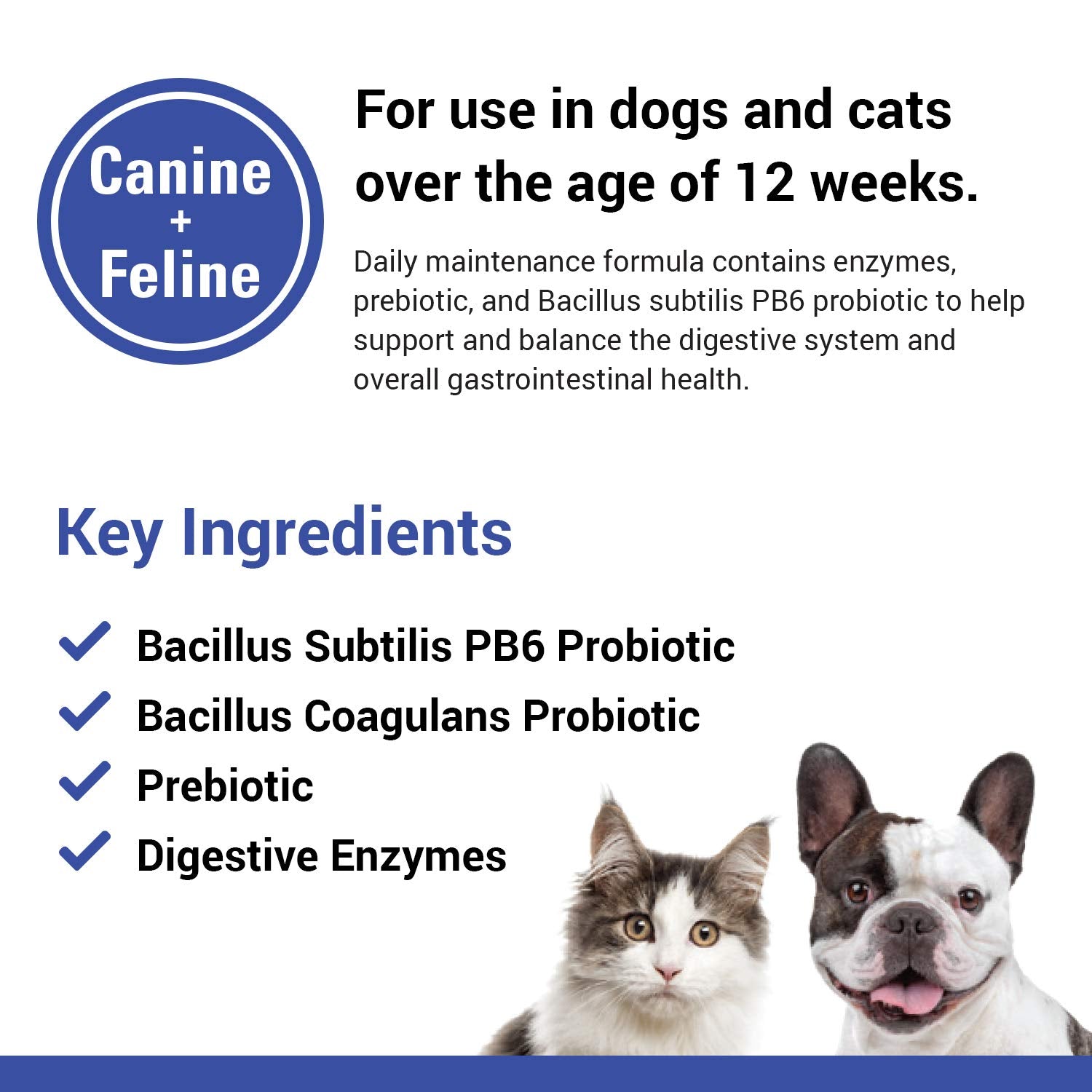Vet Classics Protegrity EZ Probiotiques, chat au bol, digestion équilibrée et pratique.