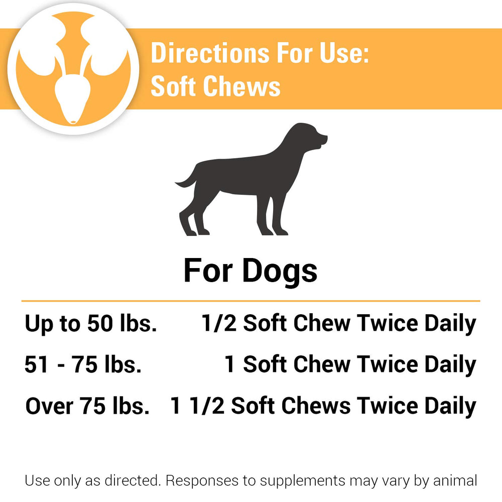 Santé canine et bien-être grâce à Vet Classics et une routine urinaire équilibrée.