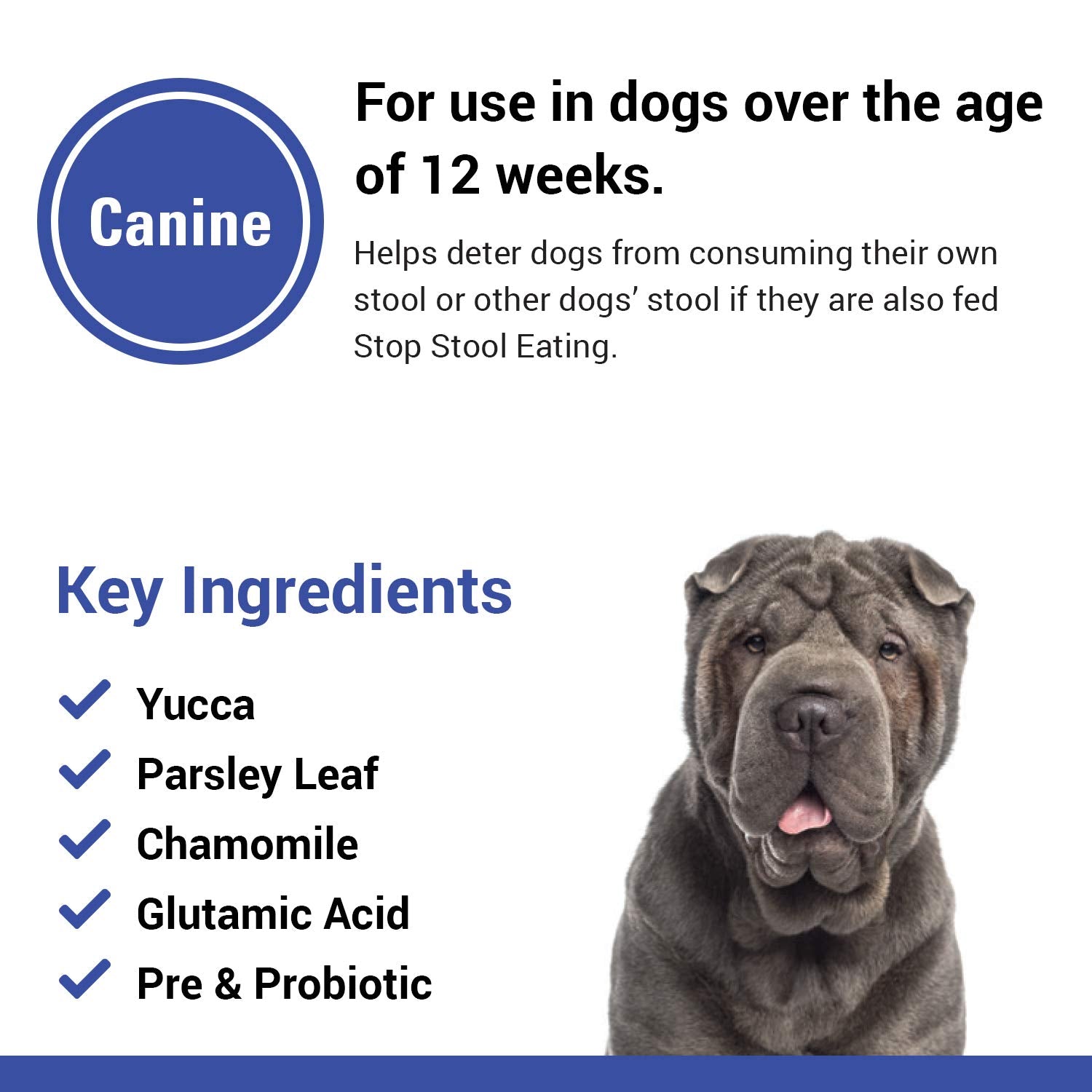 Vet Classics Stop Stool Eating – contient acide glutamique pour modifier le goût et réduire les odeurs.