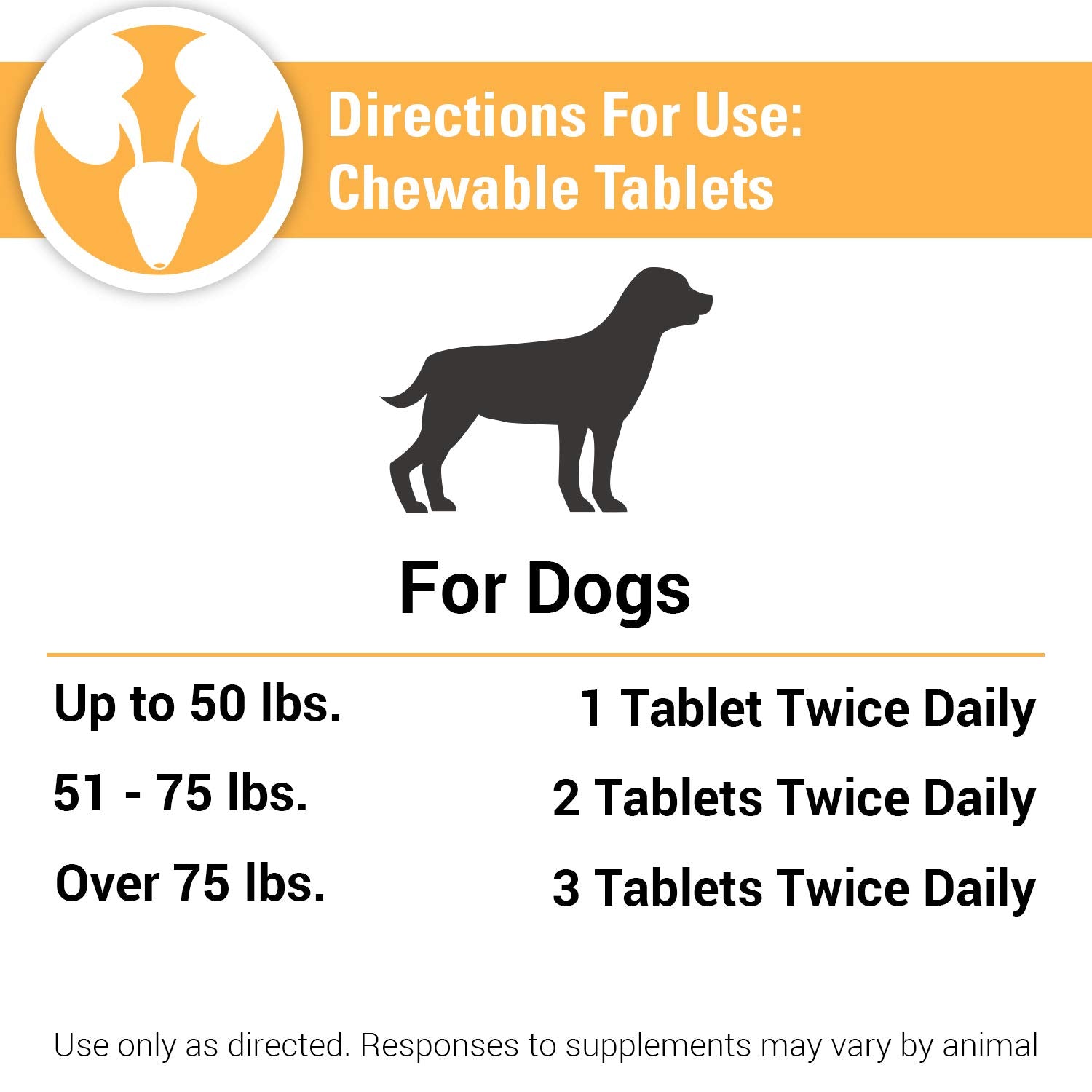 Vet Classics usage quotidien – chien actif et confiant grâce au soutien vésical.