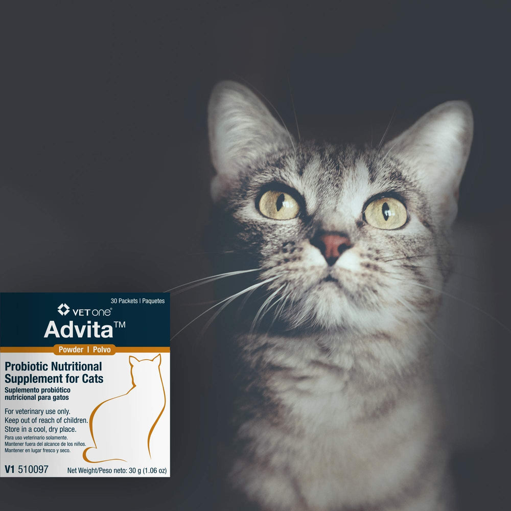 Vet One Advita, poudre probiotique, favorise peau et pelage en bonne santé