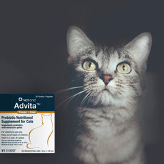 Vet One Advita, poudre probiotique, favorise peau et pelage en bonne santé