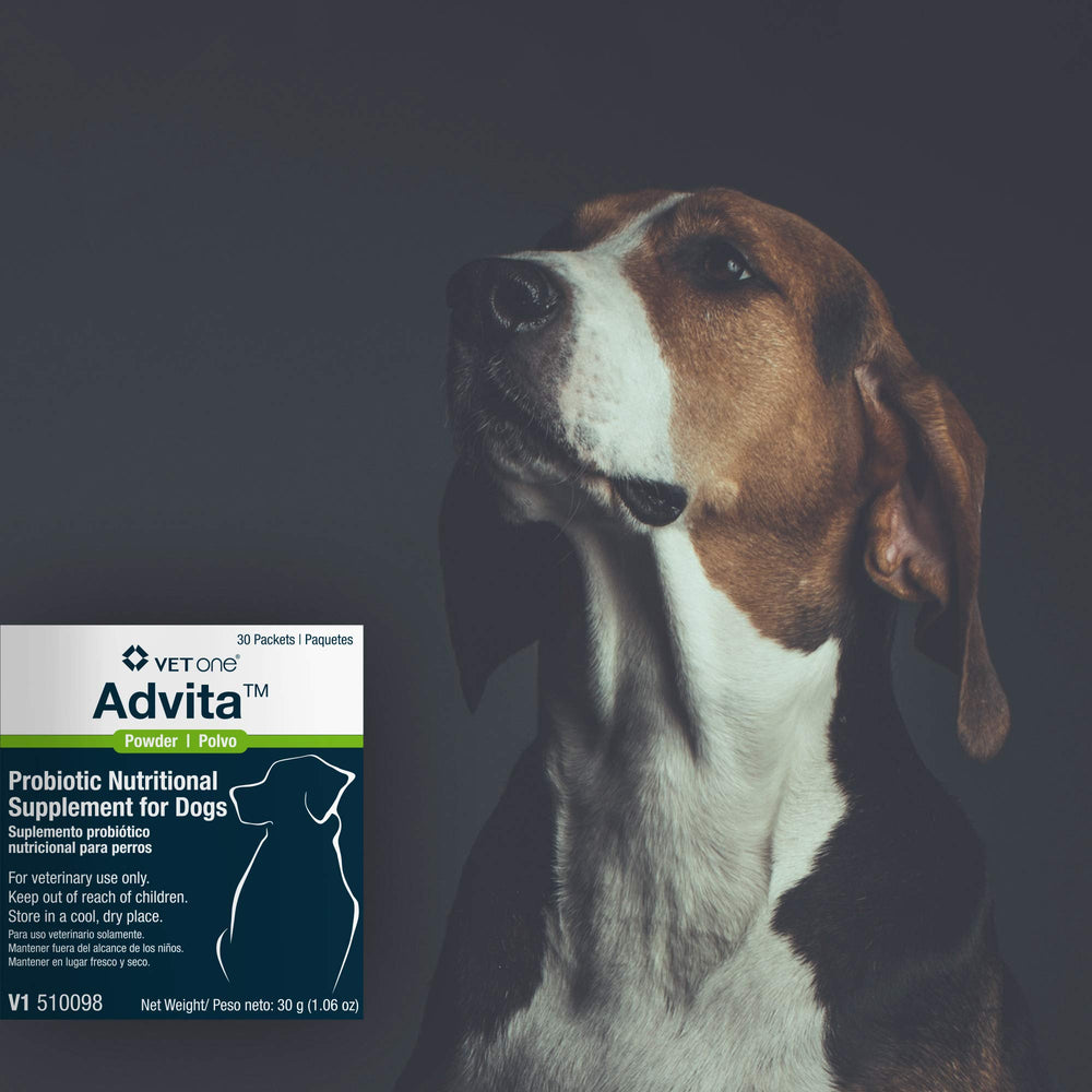 Vet One Advita vitamines A, E et C pour la vitalité du chien.