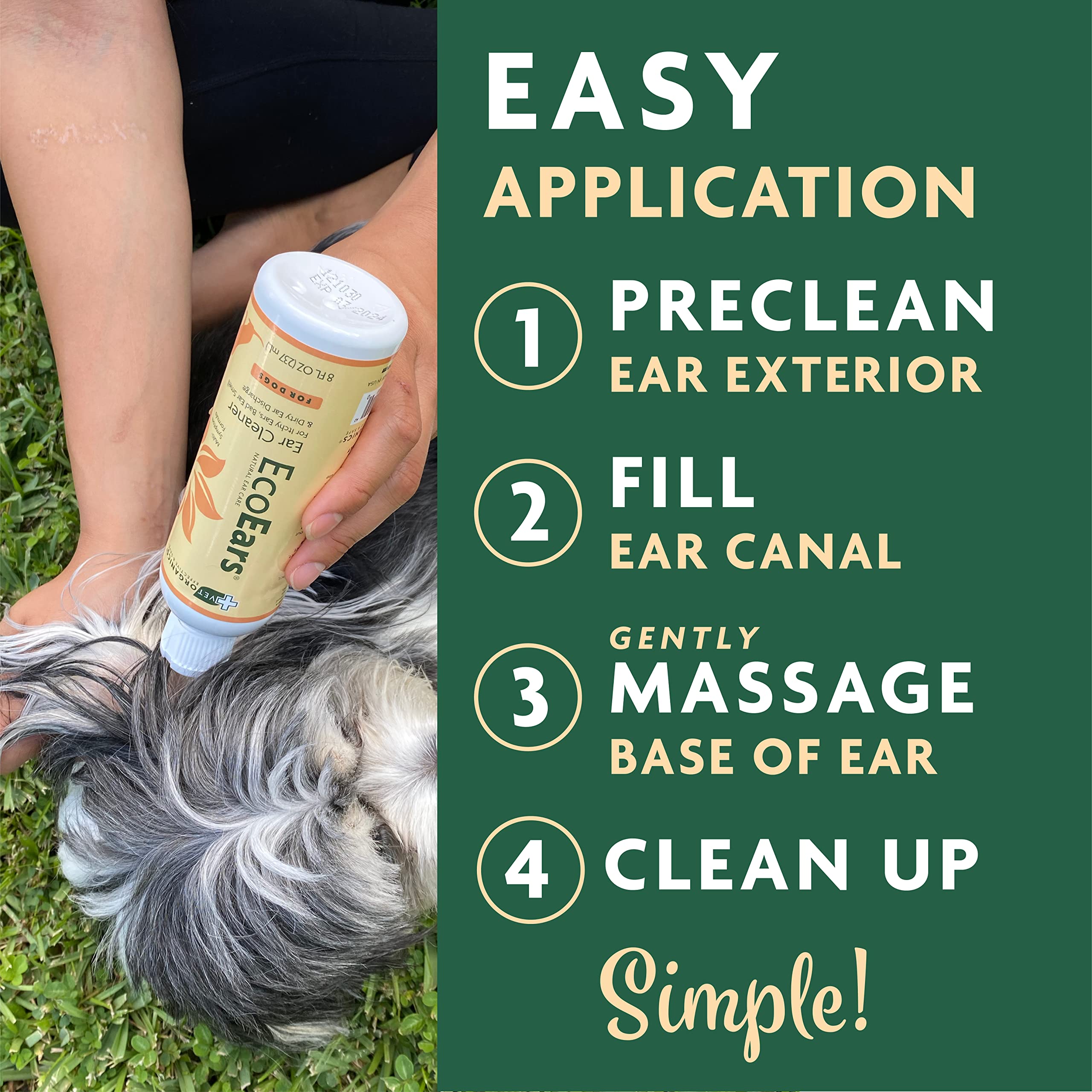 EcoEars application dans laoreille du chien, massage rapide.
