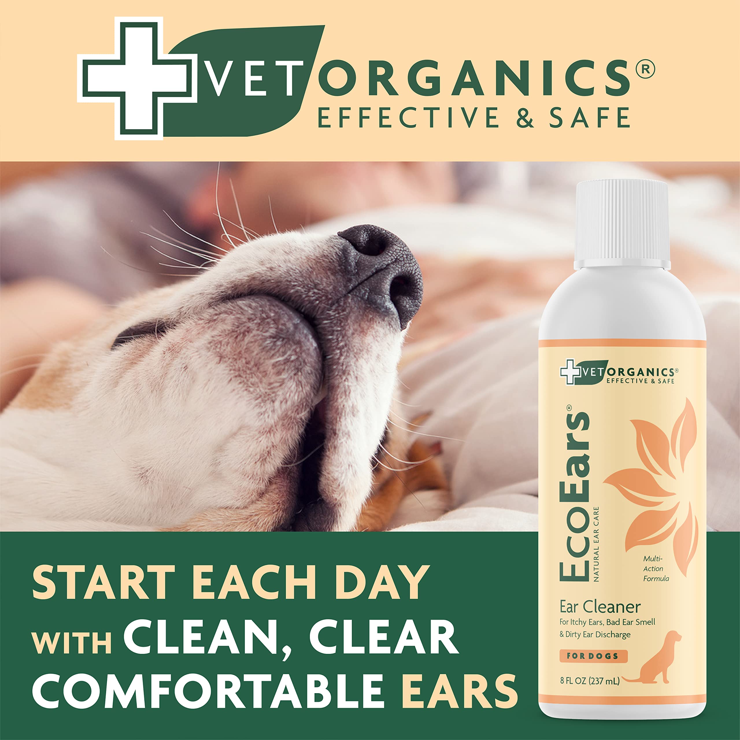 EcoEars odeur fraîche naturelle, routine pratique.