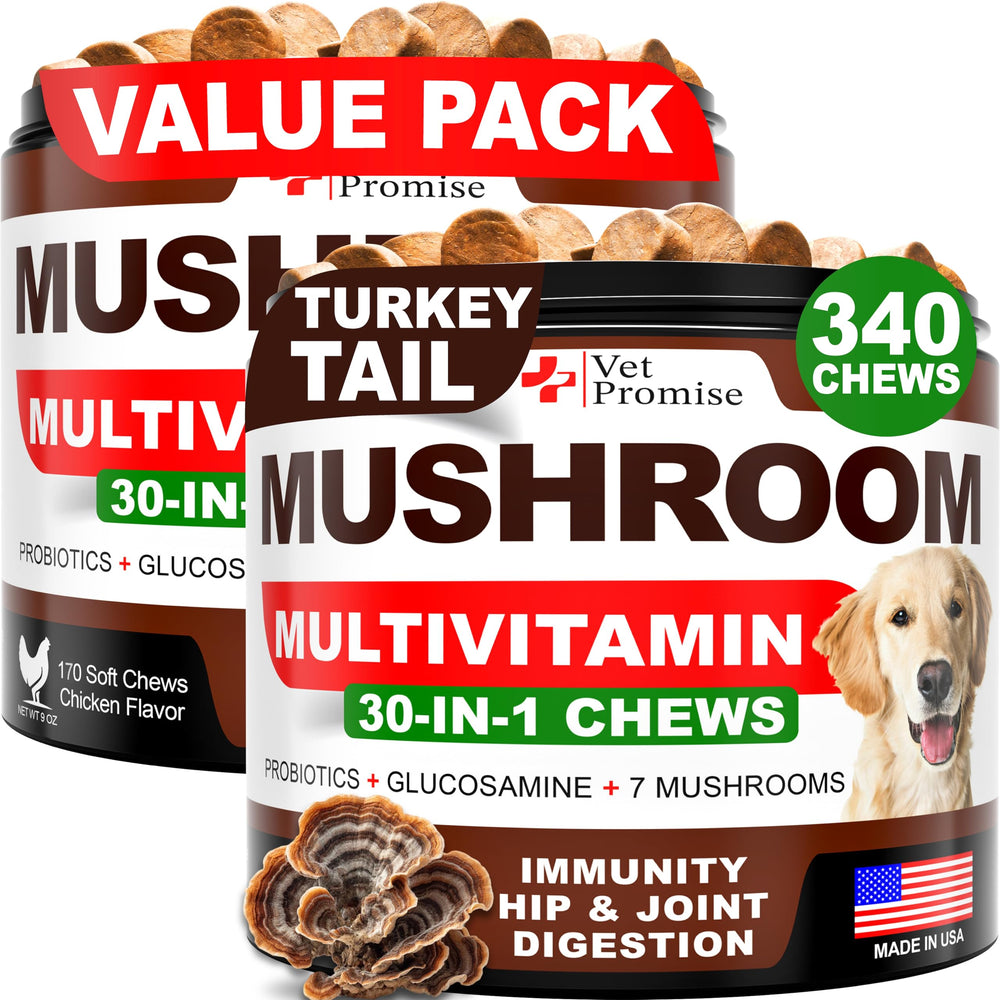 Vet Promise bouchées champignon queue-de-dinde pour chien, soutien potentiel du bien-être.
