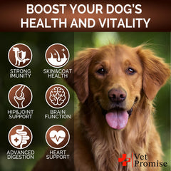 Bouchées Vet Promise digestion chien, favorisant l'équilibre digestif.