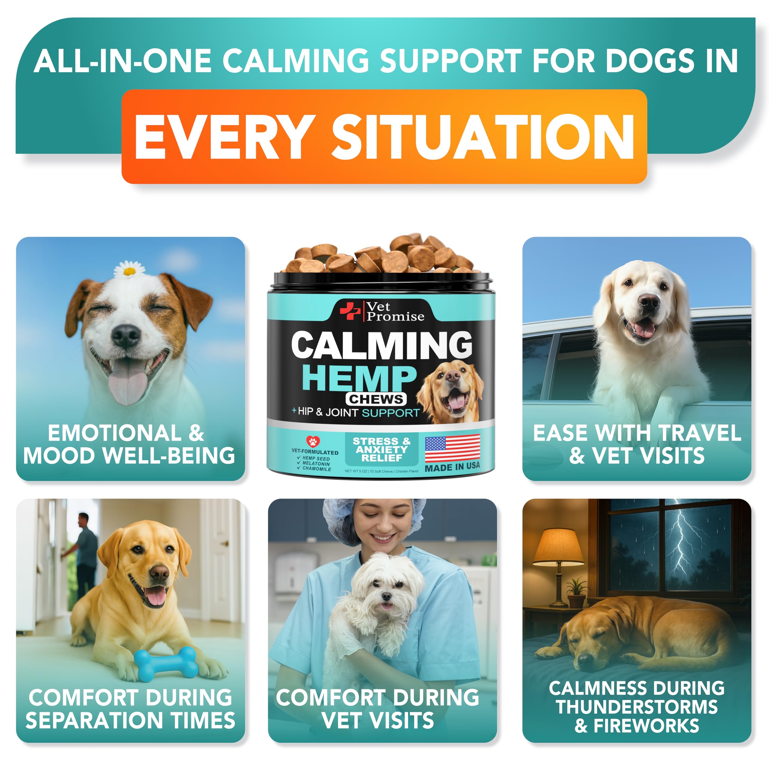 Vet Promise gommes pour chien en gros plan, favorisent détente lors de voyages.