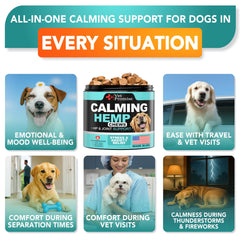 Vet Promise gommes pour chien en gros plan, favorisent détente lors de voyages.