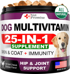 Vet Promise Chien Multivitamine Probiotiques : soutien digestif potentiel et bien-être