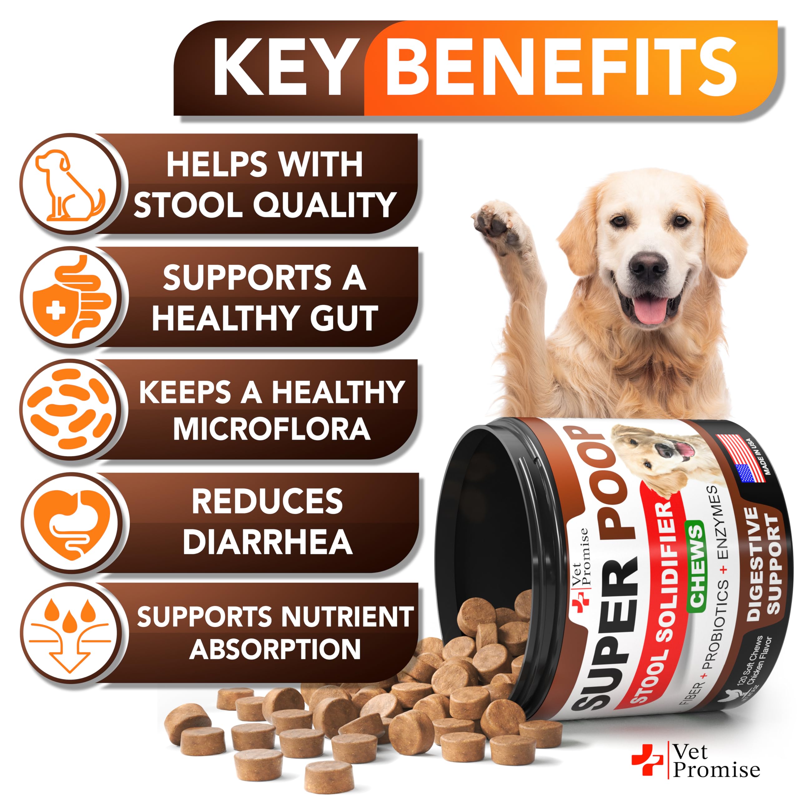 Vet Promise fibres digestives pour chien, soutien intestinal et transit régulier.