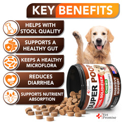 Vet Promise fibres digestives pour chien, soutien intestinal et transit régulier.