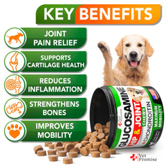 Vet Promise glucosamine pour chien – formule chondroprotectrice pour articulation saine.