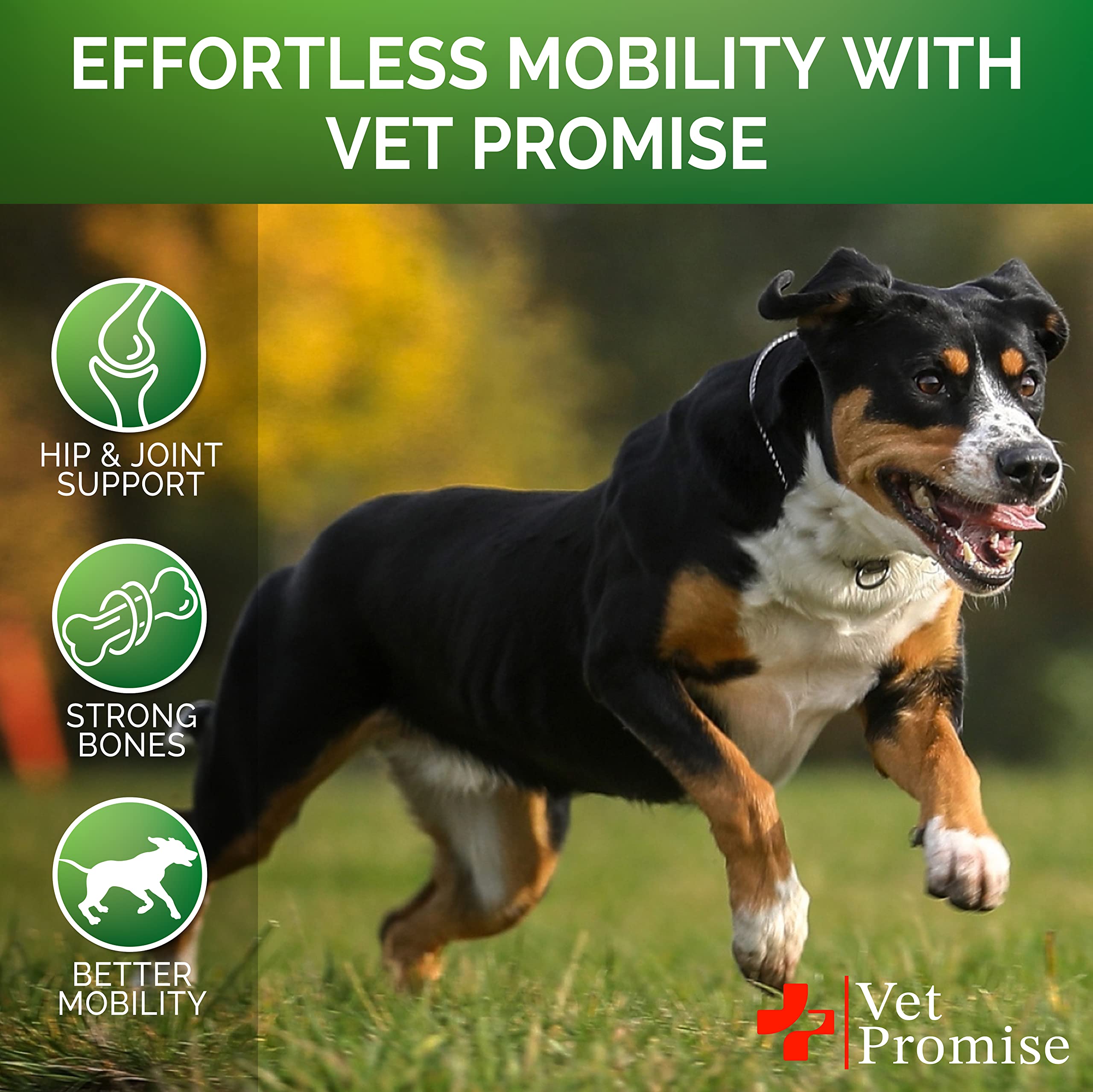 Vet Promise glucosamine pour chien – soulagement potentiel de l inconfort lors des mouvements.