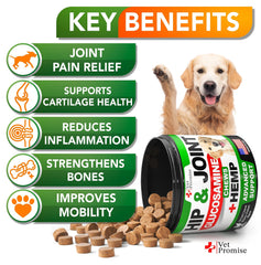 Vet Promise glucosamine-chondroïtine: articulation saine et flexibilité améliorée pour chiens.