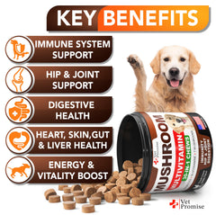 Vet Promise: huile-saumon-omega3, apport en oméga-3 pour peau et pelage.