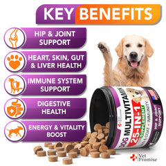 Vet Promise omega3 chien, soin peau et pelage éclatant.