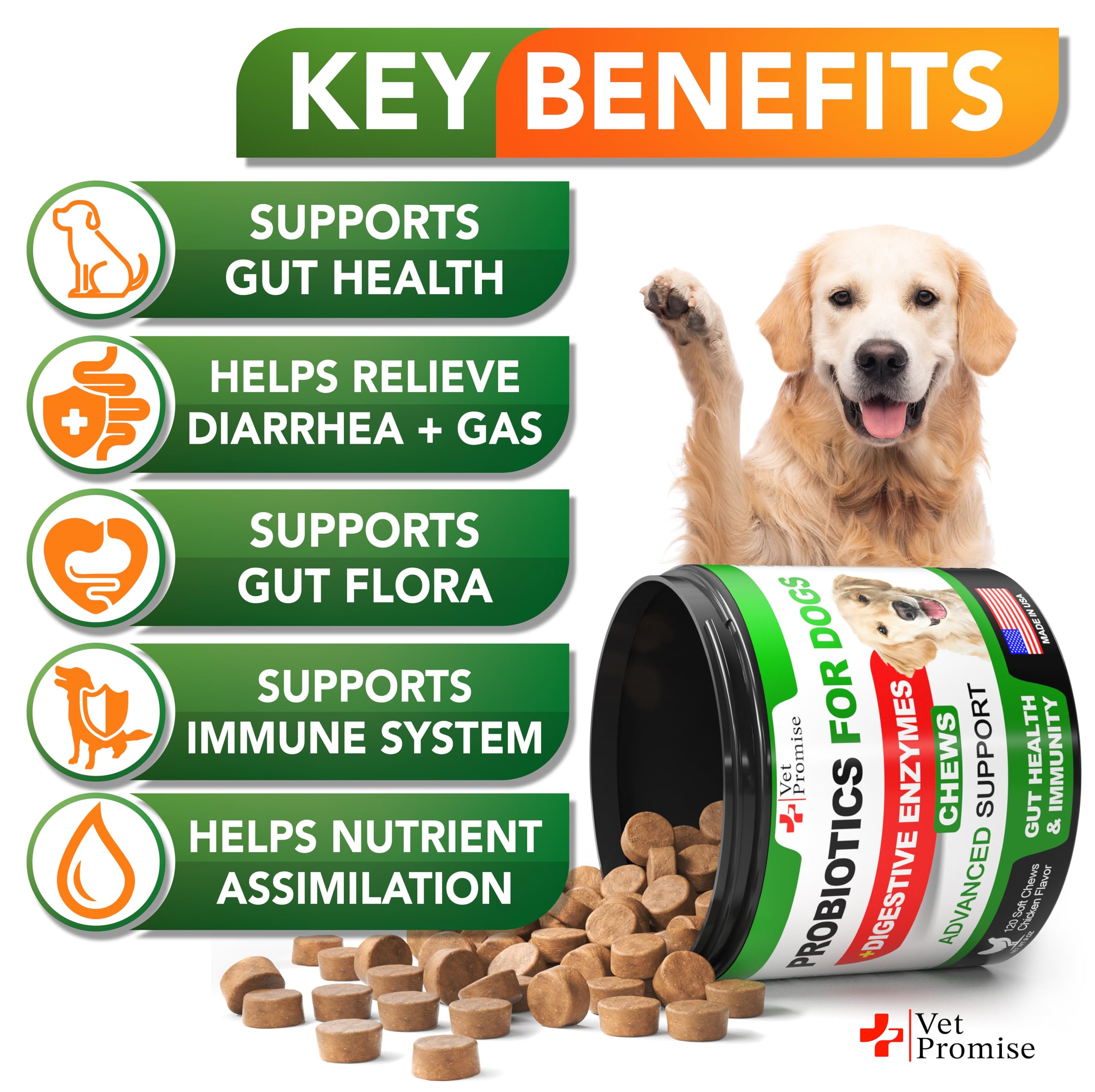 Vet Promise Probiotiques Chien – bouchées digestives et texture attractives