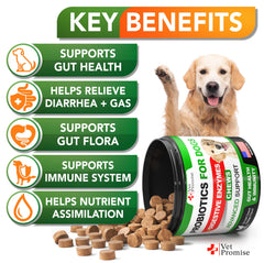 Vet Promise Probiotiques Chien – bouchées digestives et texture attractives