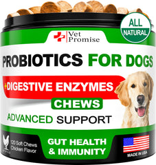 Vet Promise Probiotiques Chien – bouteille, soutien digestif potentiel