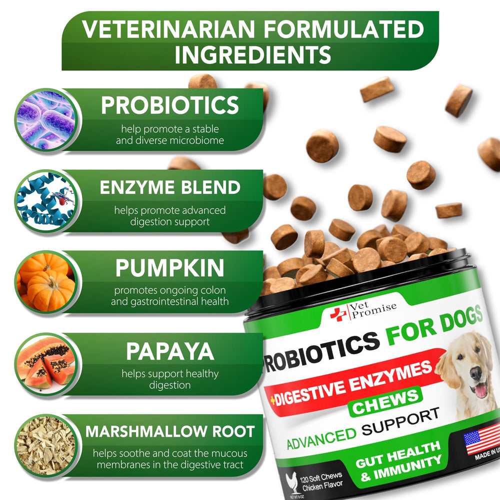 Vet Promise Probiotiques Chien – ingrédients naturels sans additifs