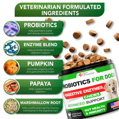 Vet Promise Probiotiques Chien – ingrédients naturels sans additifs
