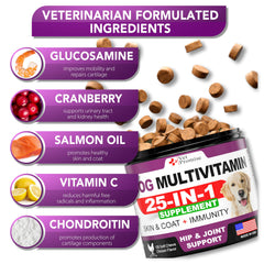Vet Promise probiotiques chien, 6 souches pour une digestion équilibrée.