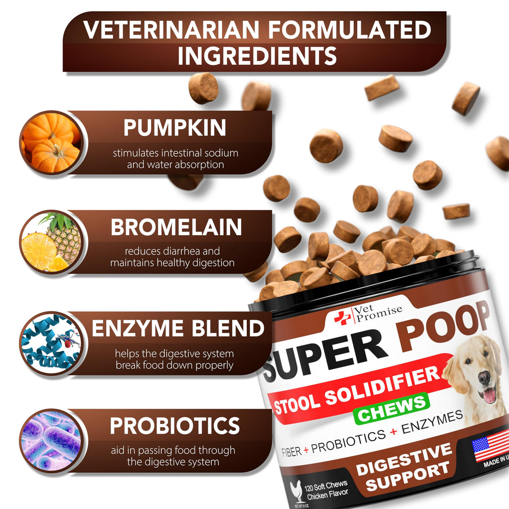 Vet Promise probiotiques digestifs et enzymes, formule complète pour l’assimilation des nutriments.