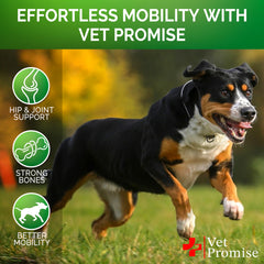 Vet Promise usage quotidien pour chien, mobilité et confort.