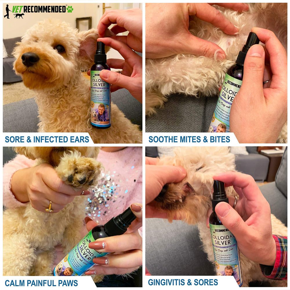 Vet Recommended Argent Colloïdal: pulvérisateur en action sur zone irritée.