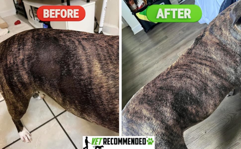 Vet Recommended Crème douceur poil chien – hydrate et adoucit le pelage.