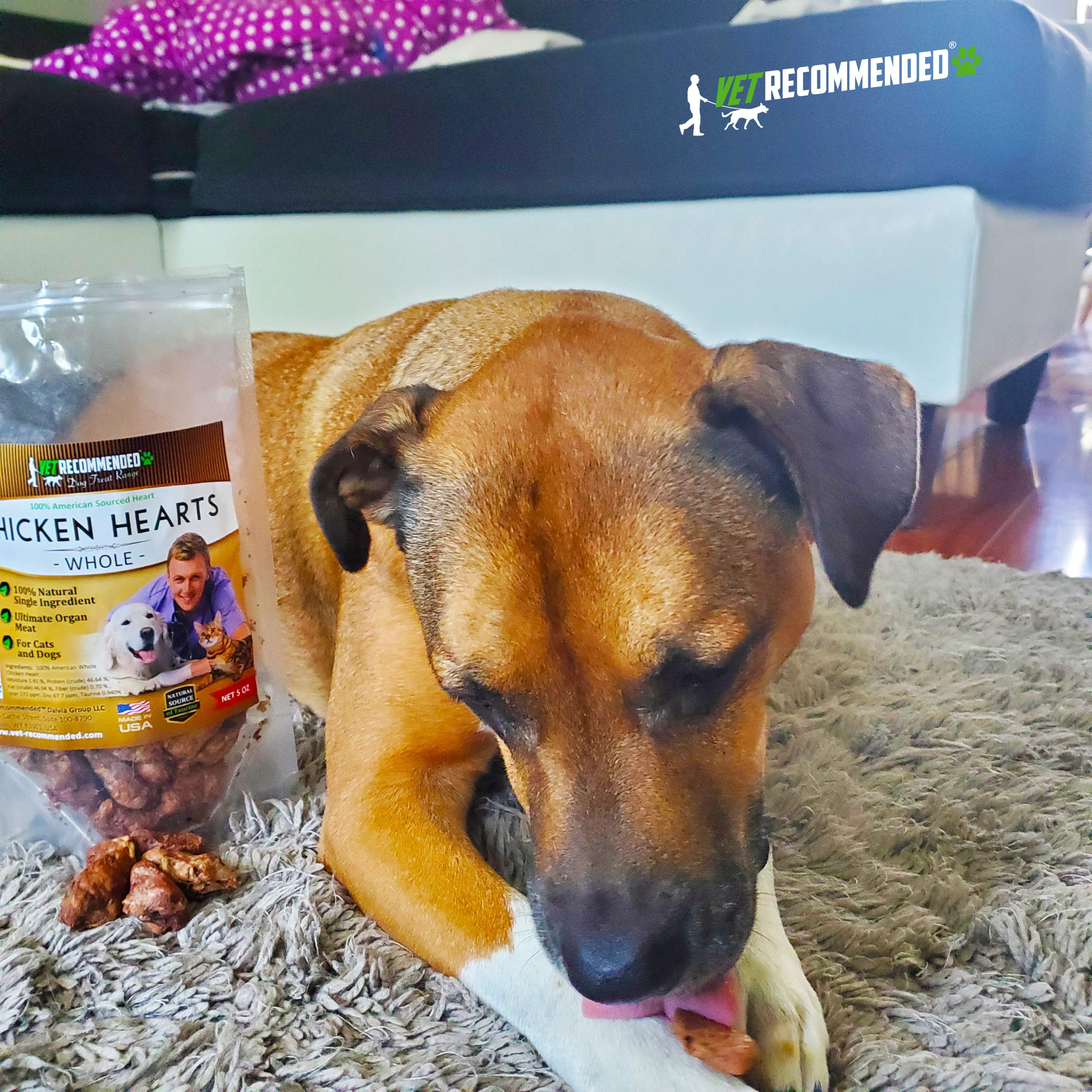 Vet Recommended friandises protéinées – plaisir croquant qui encourage votre animal