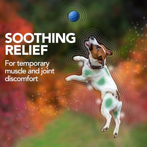 Vet’s Best Aches + Pains – tablettes au goût d’ananas pour le quotidien des chiens.