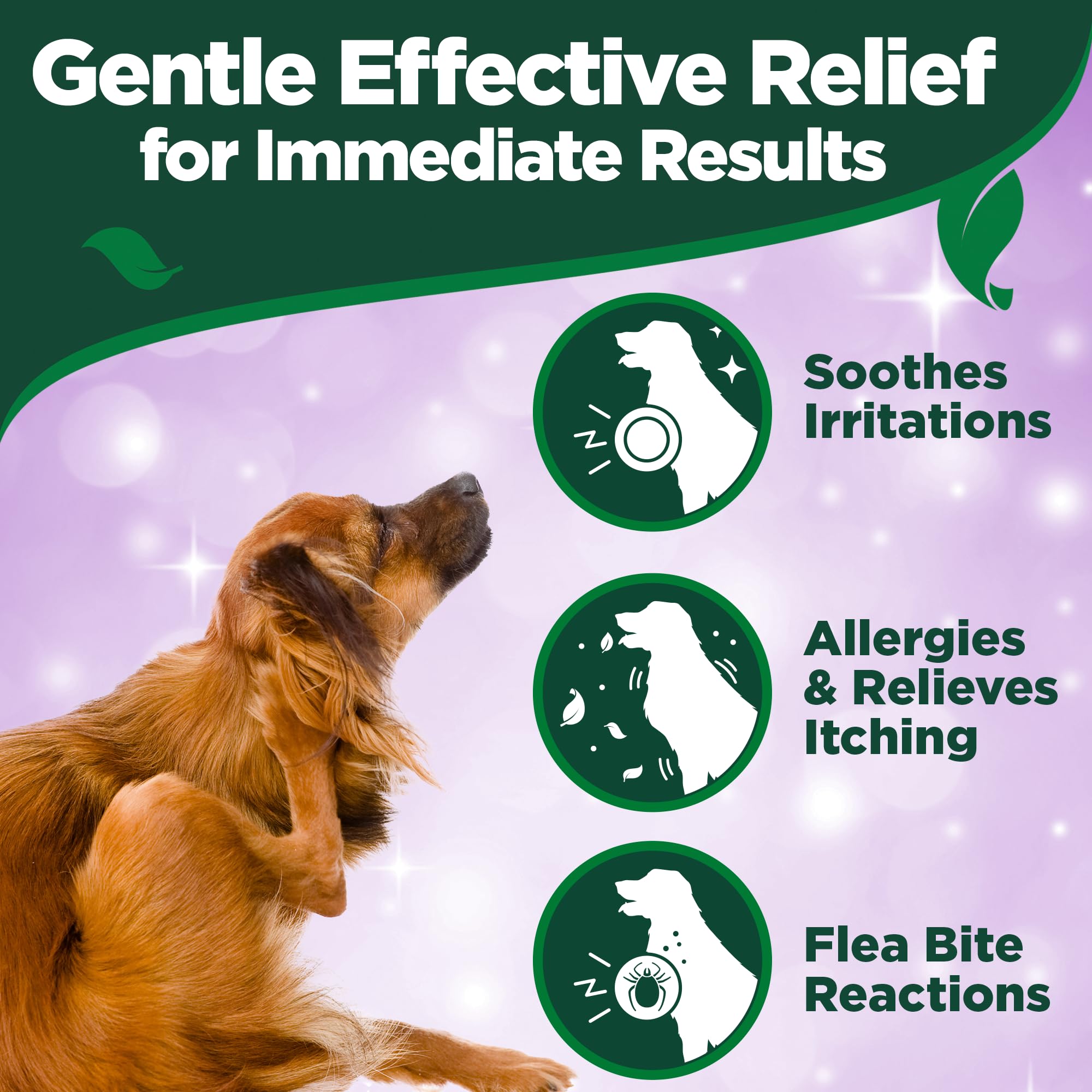 Apres brossage sur zones irritées avec Vet's Best Allergy Itch Relief Spray.