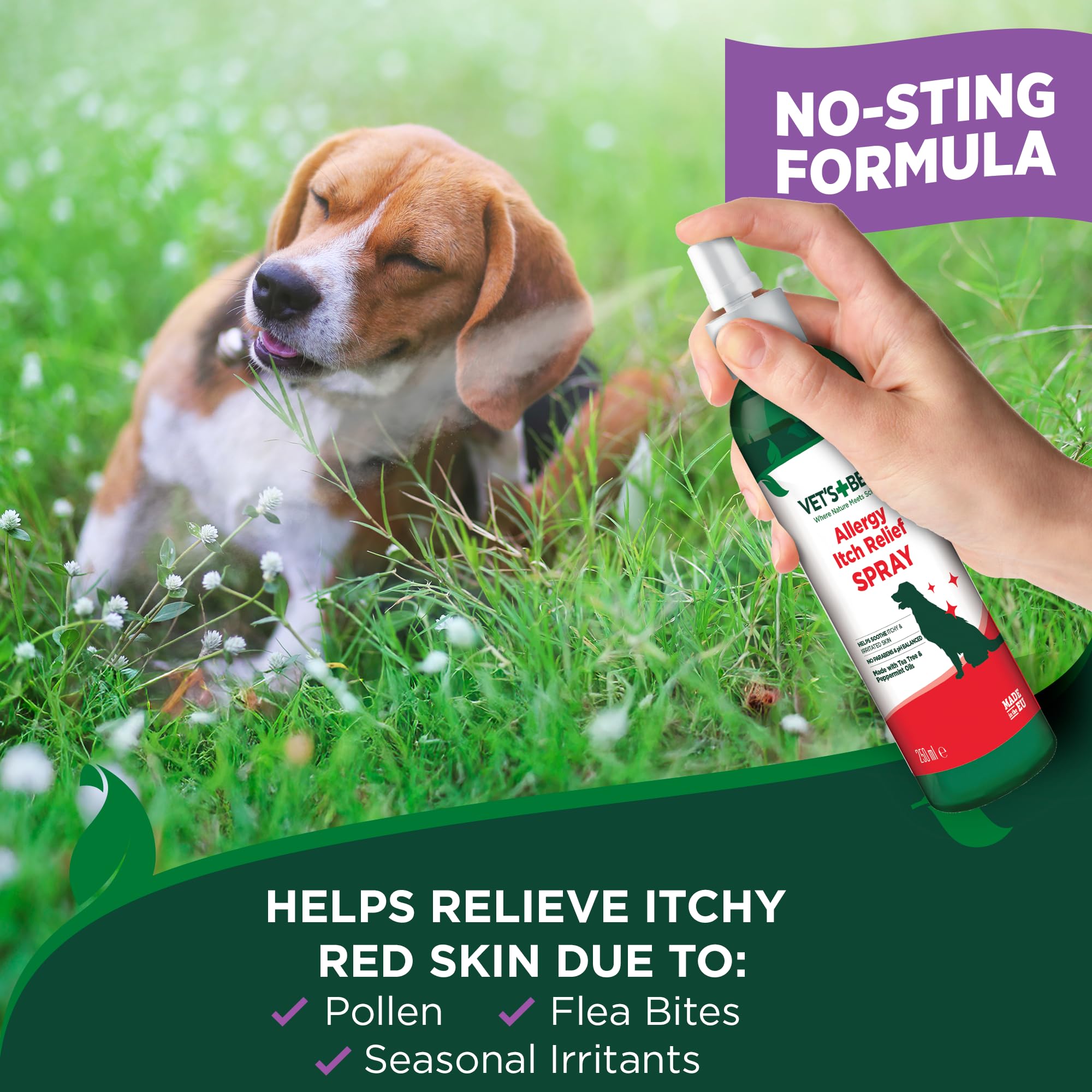 Bouteille Vet's Best Allergy Itch Relief Spray montre usage pratique a domicile.