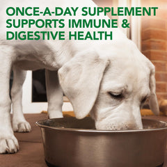 Vet's Best Bouchées Probiotiques pour Chiens – emballage montrant les ingrédients et souches