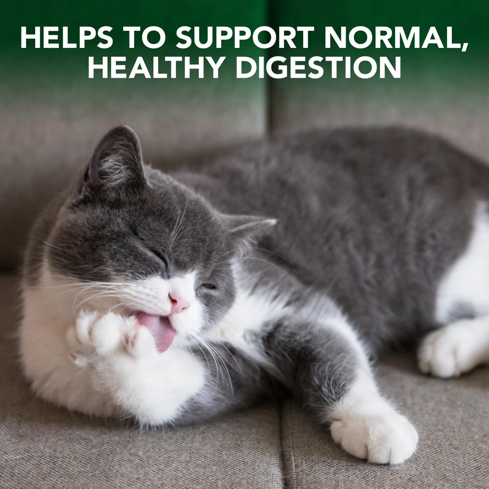 Vet's Best chat-fibre-pomme-papaye: fibres naturelles pour soutenir la régularité digestive