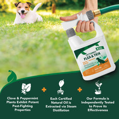 Vet's Best chenil-chien: pulvérisation extérieure sûre pour espaces extérieurs.