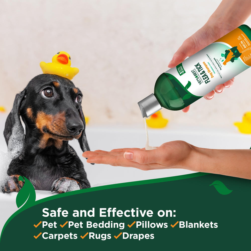 Chien calme et satisfait après le bain Vet's Best.