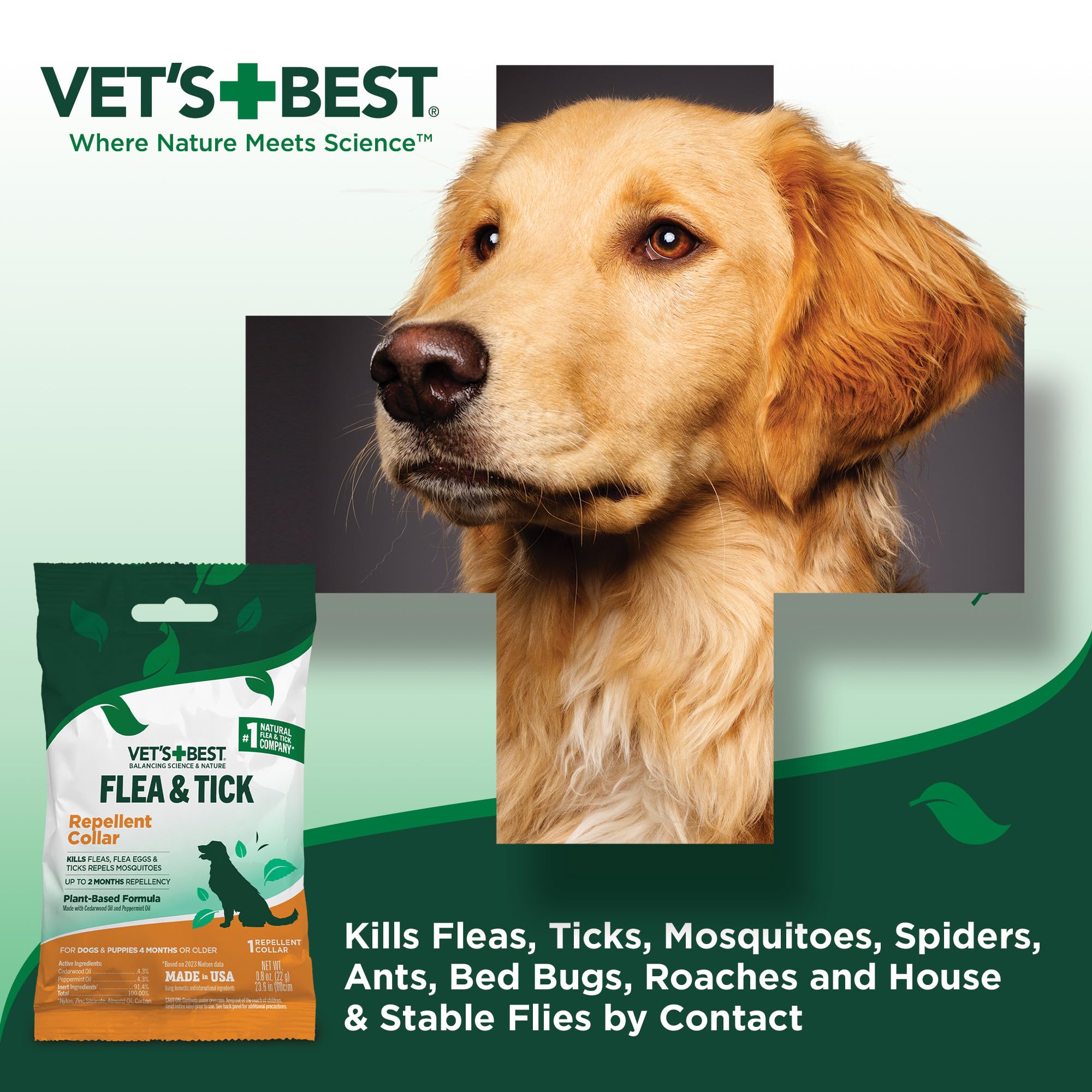 Vet's Best collier extérieur en mouvement chien.