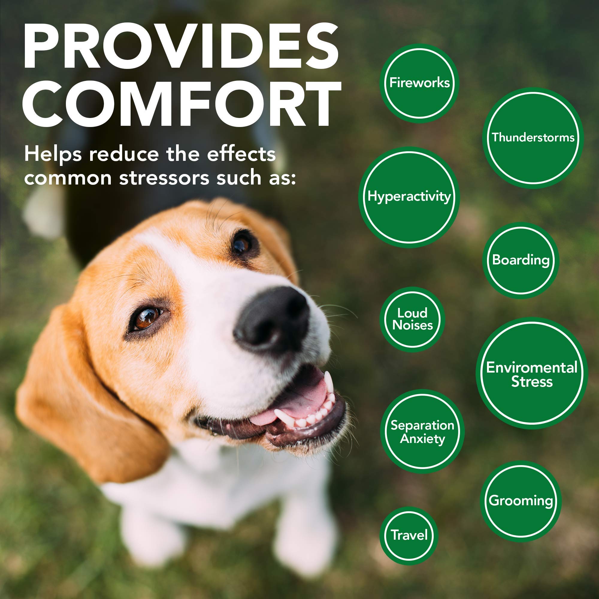 Vet's Best Comfort Calm: chien détendu sur canapé après administration.