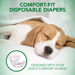 Vet’s Best Comfort Fit indicateur d’humidité: sait quand changer.